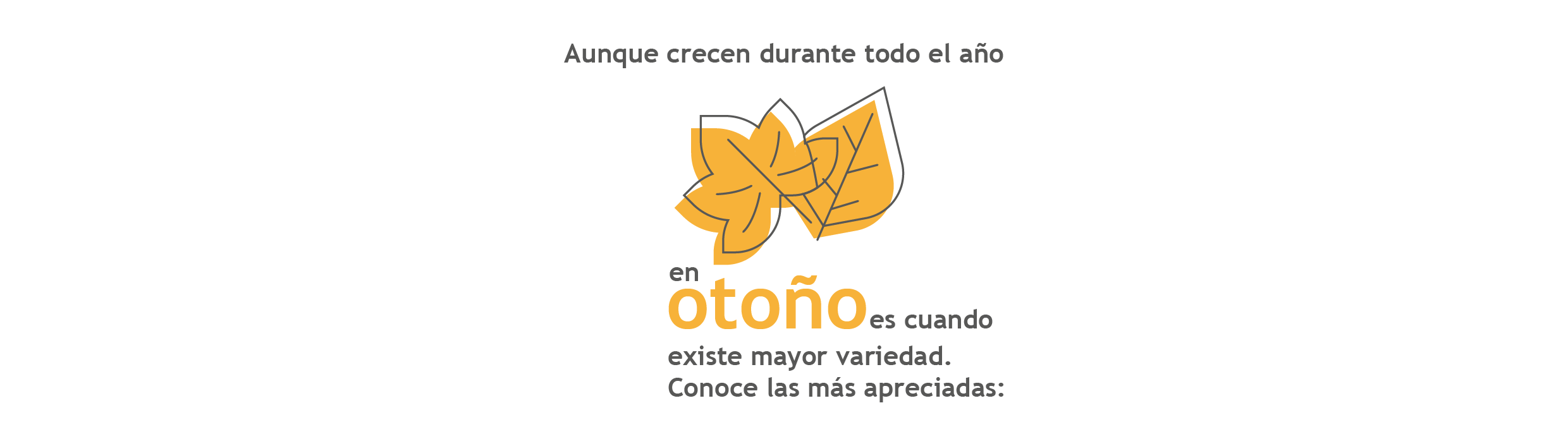 setas en otoño